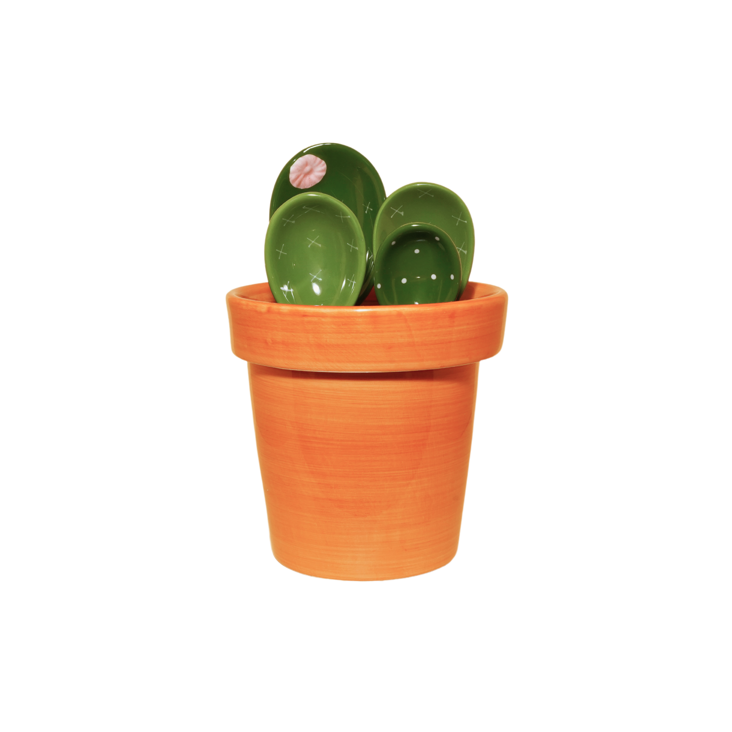Cactus Ceramic Measuring Spoons and Cup Set